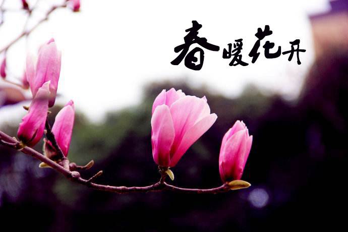 春暖花開 教你春季如何做汽車保養(yǎng)！